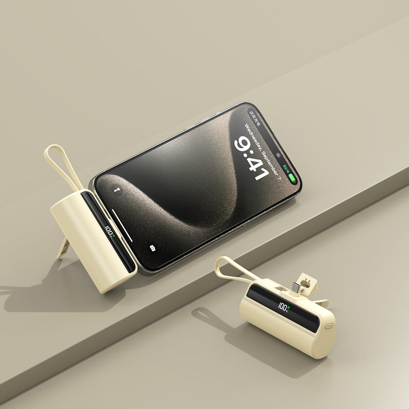 Fast Charge Capsule Power Bank